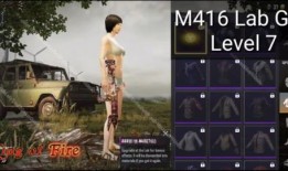 最新m4皮肤爆料视频,视觉盛宴，神秘元素大揭秘！