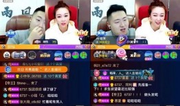 崇阳最新爆料事件视频播放,视频揭露惊人真相，事件引发社会关注